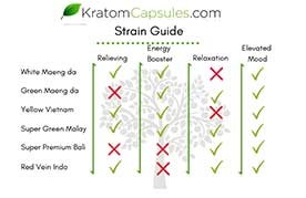 Our Strain Guide