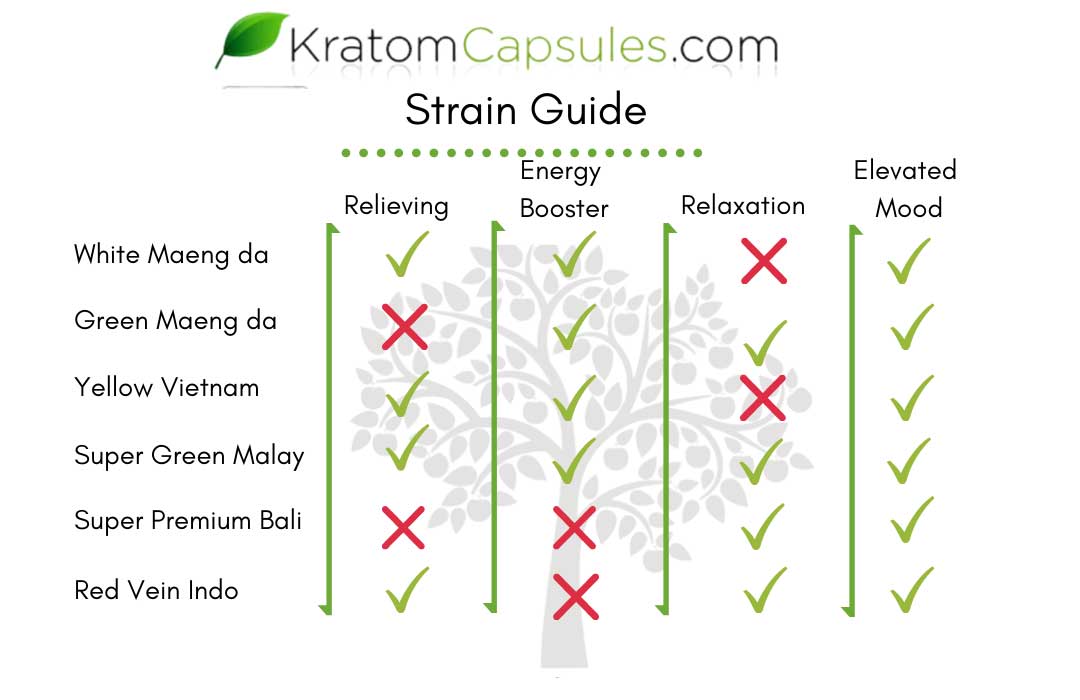 A guide to our kratom strains
